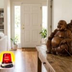 Vastu Tips: घर में लाफिंग बुद्धा लाने से पहले जान लें ये जरूरी नियम, गलत दिशा में रखने से हो सकता है नुकसान