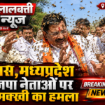 देवास मध्यप्रदेश भाजपा नेताओं पर मधुमक्खी का हमला