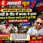 सकरी बाईपास तुर्काडी हाईवे पर नंदी के पीठ में फरसा से हमला अज्ञात के खिलाफ सकरी थाने में हुई FIR आरोपी की तलाश जारी