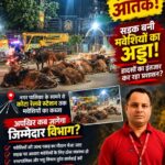 बिलासपुर-कोटा नगरपालिका में आवारा मवेशियों का आतंक! सड़क बनी मवेशियों का अड्डा, हादसों का इंतजार कर रहा प्रशासन? नगर पालिका के सामने से कोटा रेलवे स्टेशन तक मवेशियों का कब्जा, आखिर कब जागेगा जिम्मेदार विभाग?
